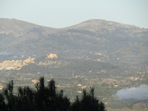 IMG_3709 (Medium)